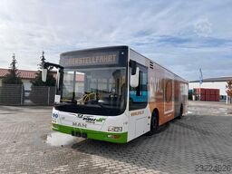 MAN A21 Lion's City NL 323 - KLIMA 1. Hand TOP