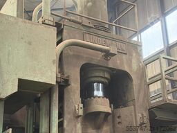 Locostréa Locostréa Locostréa