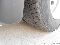 DAF XG 480 - LOW DECK