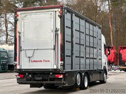 SCANIA R500 6x2/4 LL 4.Stock Menke Tränke Hubdach