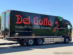 DAF XG 480 EURO 6E FAR 50 CC COMBI FLOWER WIDE CARRI
