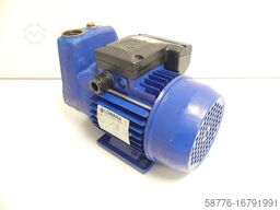 Lowara Pompa SP5 Motor SN: 55M712