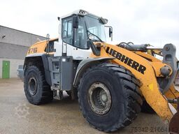 Liebherr L576 X power