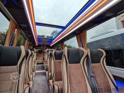 MERCEDES-BENZ 519 und 517 Glasdach XXL 20 Sitze Stock