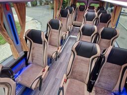 MERCEDES-BENZ 519 und 517 Glasdach XXL 20 Sitze Stock