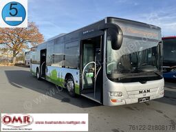 MAN A 21 Lion´s City
