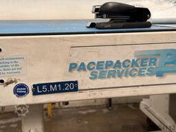 Pacepackerservices Blu-Robot Manipulator