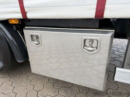 Wiese Mega Schiebeplane mit Dhollandia Rampe 9t