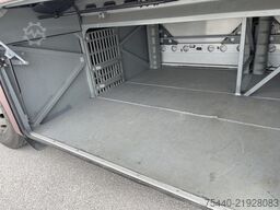 Mercedes-Benz Tourismo 15 RHD - nice bus