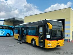 MAN Göppel A66 Lion's City M NM253 - Midi A76 A35