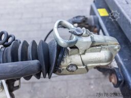 IFOR WILLIAMS TT126G - KIPPER