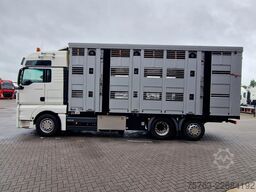 MAN TGX 26.480 6x2*4 - Menke 3 deck livestock 50.40...