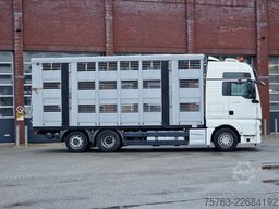 MAN TGX 26.480 6x2*4 - Menke 3 deck livestock 50.40...