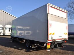 DAF LF 230 4X2 2022 246.162km SAXAS + DHOLLANDIA