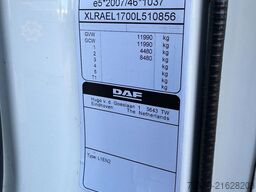 DAF LF 230 4X2 2022 246.162km SAXAS + DHOLLANDIA