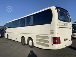MAN R 09 Lions Coach C