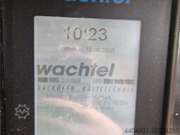 RC-WACHTEL-Compact Wachtel
