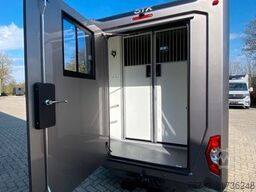 RENAULT Master STX 5 Sitzer Haras ex. Lang Automatik