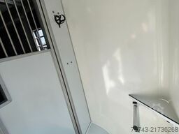 RENAULT Master STX  Haras AUTOM. NEW MODEL 2025