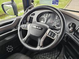 DAF XF 480 FAN