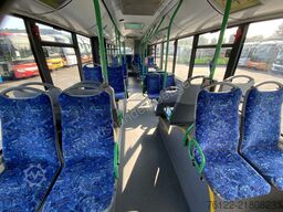 Solaris Urbino 12
