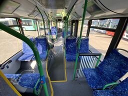 Solaris Urbino 12