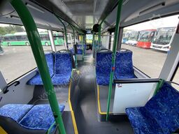 Solaris Urbino 12