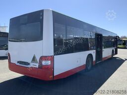 MAN A 37 Lion´s City