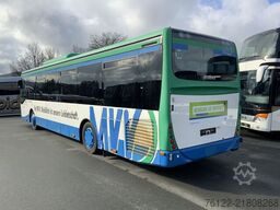 IVECO Crossway LE