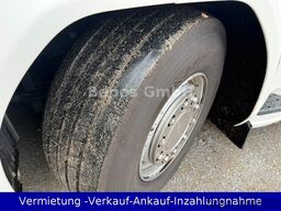SCANIA SUPER-Highline R 450-LEDER-Retarder-adr