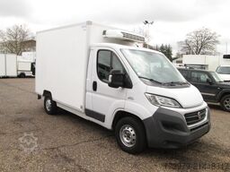 FIAT Ducato 130*2x Thermo-King Tiefkühler*Euro5*