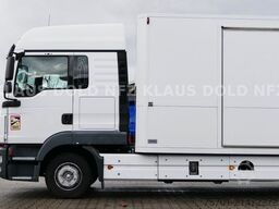 MERCEDES-BENZ TGL 8.250 geschloss. Autotransp. Moetefindt