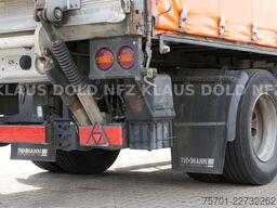 MEUSBURGER MPS 1 Pritsche Plane Edscha LBW Lenkachse