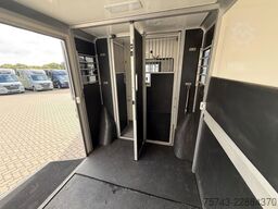 RENAULT Master STX 3 Sitzer  Haras / Hengste