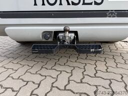 RENAULT Master STX 3 Sitzer  Haras / Hengste