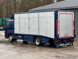 MERCEDES-BENZ Atego 1222L 4x2 BL 1.Stock Menke Viehwagen