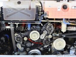 Iveco Crossway 12m Line Pop Light / New / 2025