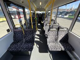 MAN A 23 Lions City G