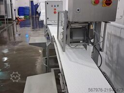 Carnitech CT 2612 Pin-boning & Packing Line