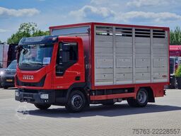 Iveco Eurocargo 75.190 - Finkl Livestock 1 deck - 9.0...