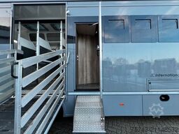 MAN 12 250 5 Pferde Pop-Out