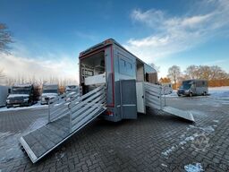 MAN 12 250 5 Pferde Pop-Out