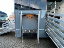 MAN 12 250 5 Pferde Pop-Out