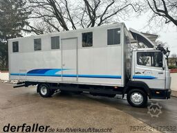 Mercedes-Benz 814 L 4 Pferde