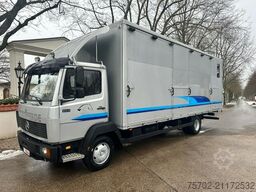 Mercedes-Benz 814 L 4 Pferde