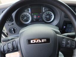 DAF LF 230 FA Bak +Dhollandia 1500 Kg klep + rolstops