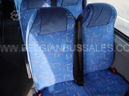 Mercedes-Benz Sprinter 517 CDI / Arobus / Electric door / Air...