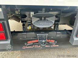 SCANIA Scania P310 6 Pferde Popout Wohnmobilzulassung