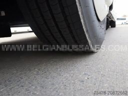 Iveco Evadys 12m / WC / 3-point seat belts / NEW / 4 ...