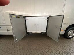 MERCEDES-BENZ Actros 2644 5 Pferde  Pop-Out, Pop-Up